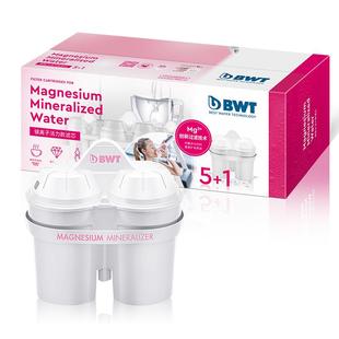bwt滤芯原装进口倍世镁离子滤芯家用过滤净水壶滤芯德国净水器