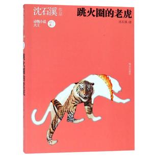 跳火圈的老虎 沈石溪作品集三四五年级课外书阅读 畅销书8-10-12-15岁沈石溪动物小说全集小学生课外读物 书籍 明天出版社