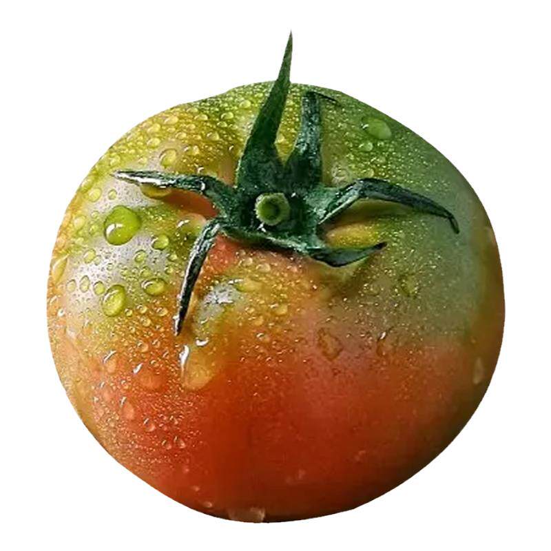 高品质!铁皮草莓西红柿