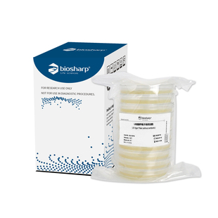 生物试剂 LB琼脂平板大肠杆菌培养即用型微生物培养琼脂培养基