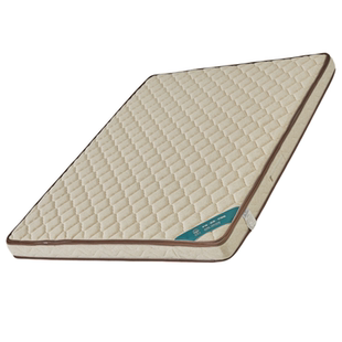 亚麻天然椰棕榈床垫纯硬垫子家用中老年护脊不腰疼厚薄尺寸可定做