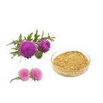 水飞蓟素80% 水飞蓟提取物 水飞蓟宾正品奶蓟草/乳蓟浓缩原料粉末