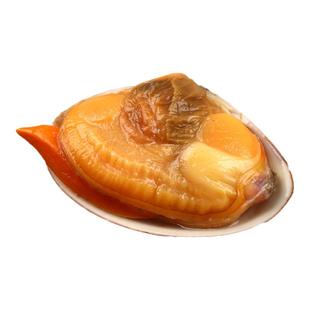 【海正润】25年新货 熟冻即食大文贝 丹东特产 新鲜肥美 顺丰发货