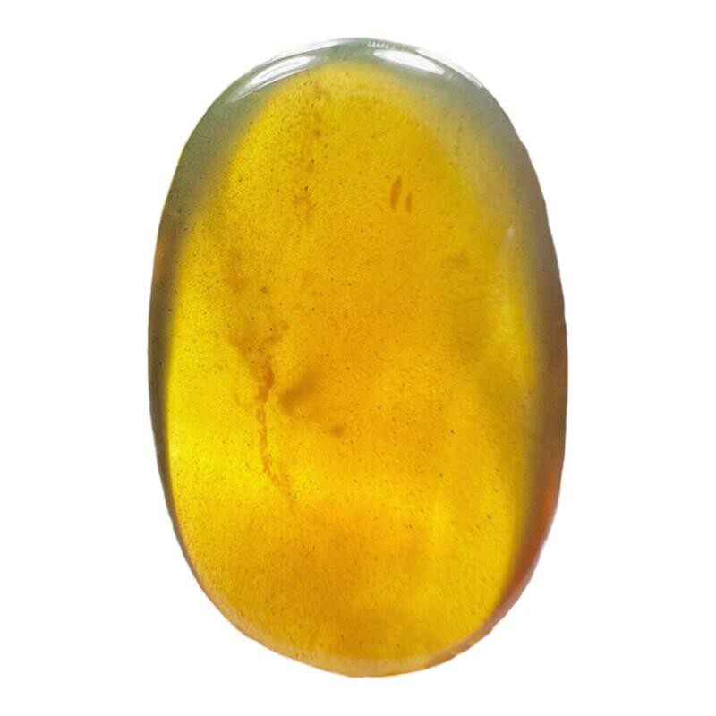 纯天然琥珀蜜蜡蜘蛛化石标本吊坠