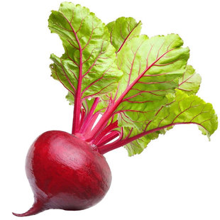 甜菜种子种籽孑甜菜根红甜菜头四季蔬菜盆栽籽种菜籽甜菜根籽田菜