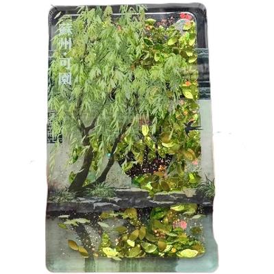 苏州网师园平江路流沙冰箱贴旅游