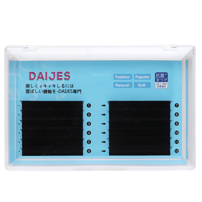 0.07y型睫毛山茶花嫁接网状编织