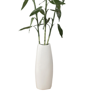 富贵竹花瓶水养 50cm陶瓷红色落地花瓶 40cm高白色陶瓷发财果花瓶