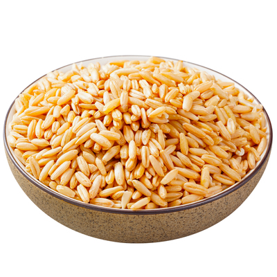 燕麦米新鲜上市软糯易煮颗粒饱满