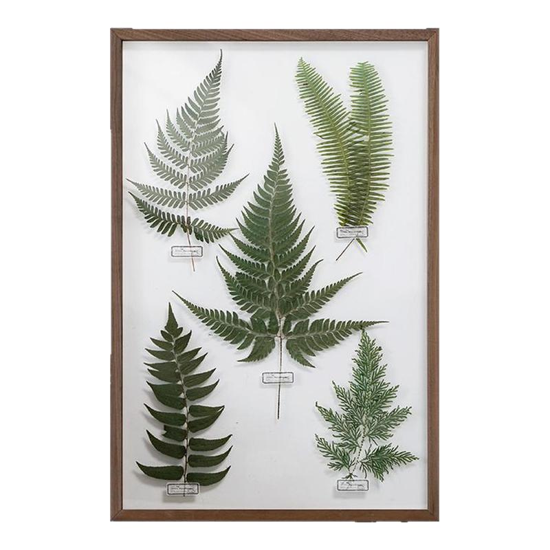 植物标本装饰画实木民宿叶子大树永生花压花透明实高级感手工创意