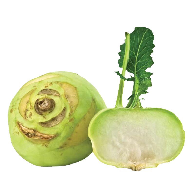 青苤蓝苗秧苗红菜苔春秋水果绿苤兰球茎甘蓝蔬菜苗秧苗花菜苗芥兰