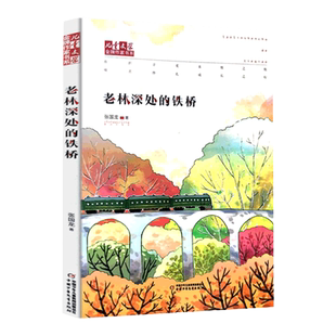 老林深处的铁桥 张国龙作品 儿童文学作家书系 校园成长小说 曲折寻觅亲情之旅 痛苦挣扎成长之行 中小学生课外阅读书籍