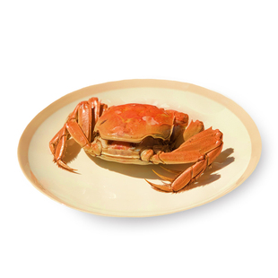 盘锦河蟹全母 多规格 湿地大闸蟹稻田螃鲜活蟹现货礼盒顺丰包邮