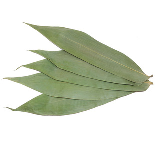 粽叶粽子叶5斤装五斤新鲜免邮包粽子的叶子干大号棕叶商用3斤