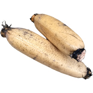 老余家洪湖莲藕新鲜粉糯现挖湖北特产武汉九孔红粉藕带泥发顺丰