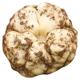 2025宜兴挖破损新鲜食用百合无硫微苦无规格白合2斤2500g土特产