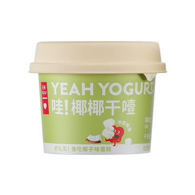 乐纯椰椰干噎酸奶100g