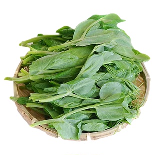 苏北农家自种豌豆尖新鲜鲜嫩龙须嫩豌豆苗荷兰豆甜豌豆尖时令蔬菜