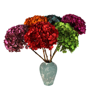 绿色红色绣球花永生花束家居装饰插花手工材料DIY包花艺软装摆件