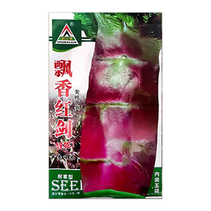 红尖叶莴笋种子香丝红莴苣籽紫红色高产四季露天蔬菜抗寒抗病