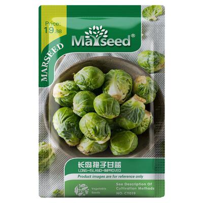长岛孢子甘蓝卷心包心蔬菜种子