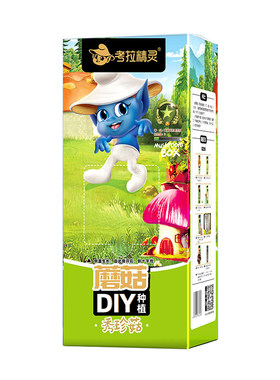 考拉精灵蘑菇盒子趣味种植礼物