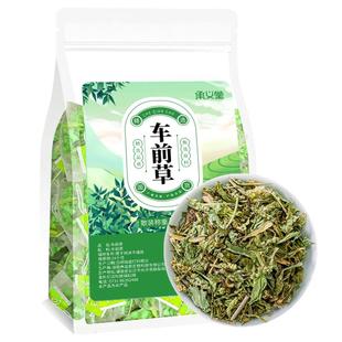 车前草干货新鲜搭尿酸茶中野生药材降的功效与作用袋泡茶颗粒什么