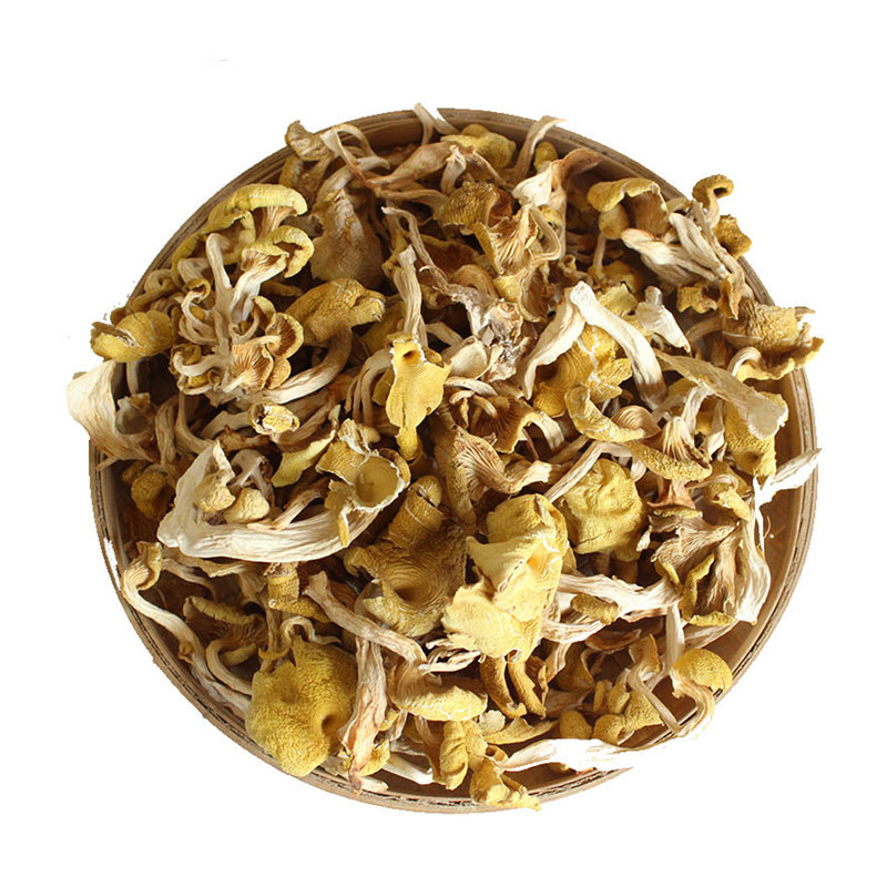 东北野生榆黄蘑新鲜鸡油菌干货榆黄蘑干黄金菇黄蘑菇菌菇炖汤炖鸡