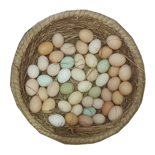 正宗散养土鸡蛋新鲜农村野外月子孕妇本绿乌柴鸡蛋虫草笨鸡蛋50枚