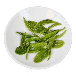 绿茶信阳毛尖2026春茶雨前特级新茶口粮茶纯手工原产地茶农直销