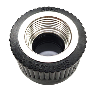 PE内丝直接20 25 32 40 50 63 75 90 110接头热熔管材管件4分配件