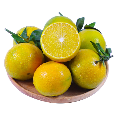 正宗广西皇帝柑新鲜橘子水果当季现摘贡柑甜橘大果包邮果园好吃