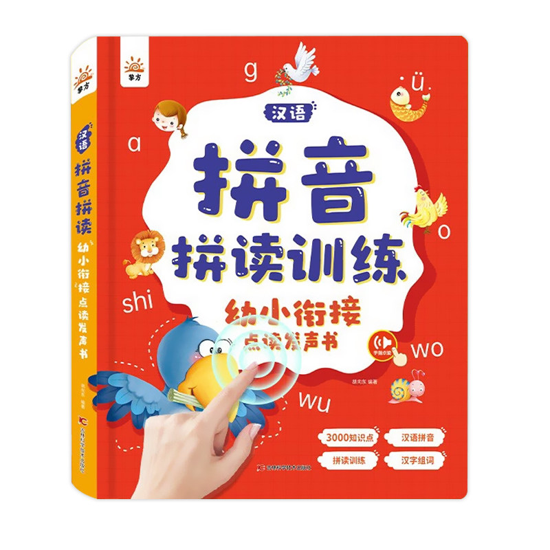汉语拼音拼读训练幼小衔接早教