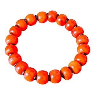 藏区回流天然原矿老甘南红手串精品收藏级保真满色满肉柿子红手链