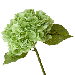 超逼真手感保湿仿真大朵绣球花高档客厅餐桌茶几装饰假花拍摄道具