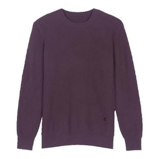 【专柜同款】鹿王100%纯山羊绒衫男士新年圆领毛衣套衫秋冬新款