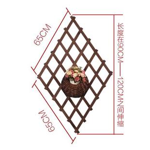 饰绿萝墙面吊兰花盆品 销网格阳台悬挂墙壁墙上花架实木防腐壁挂装