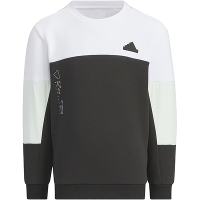 阿迪达斯小童运动时尚卫衣