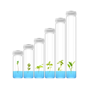茉钡特玻璃组培试管 高硼硅 耐高温高压灭菌带透气盖初代培养瓶子