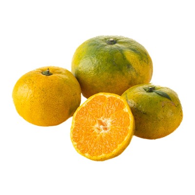 企鹅市集 涌泉蜜桔 浙江涌泉镇宫川柑橘橘子新鲜时令水果