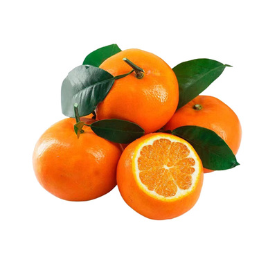 正宗云南沃柑大果当季新鲜现摘柑橘沙糖蜜桔子整箱广西武鸣县阳光