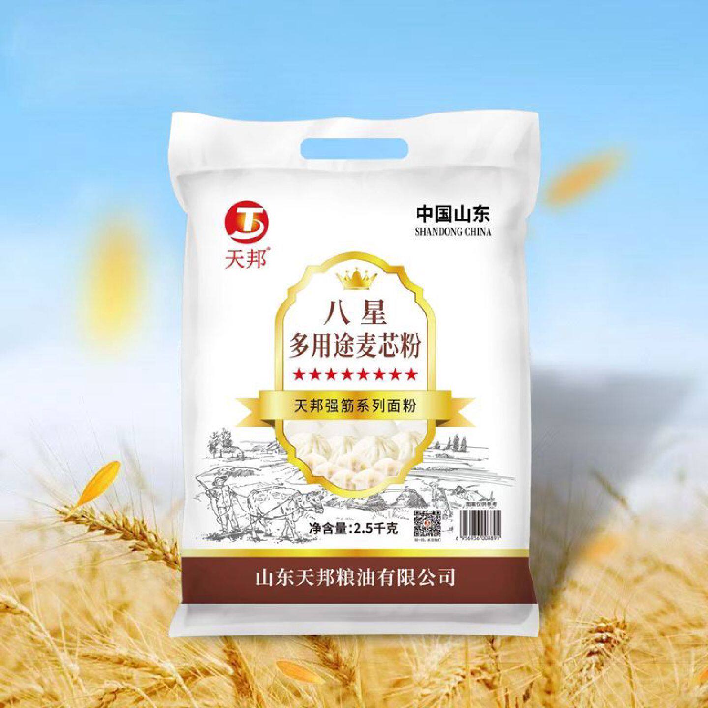 天邦面粉面包粉强筋5A麦芯粉5斤家用包子馒头面条通用2.5kg