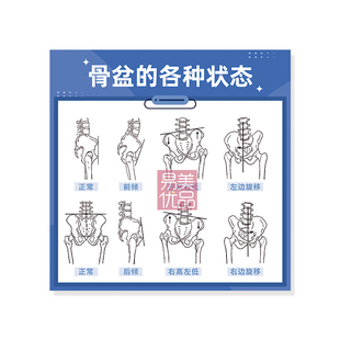 专业科普直播宣传手持卡美容会所项目讲解骨盆体态矫正小花园修剪