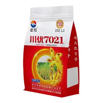 国标一级种子川优7021长粒型