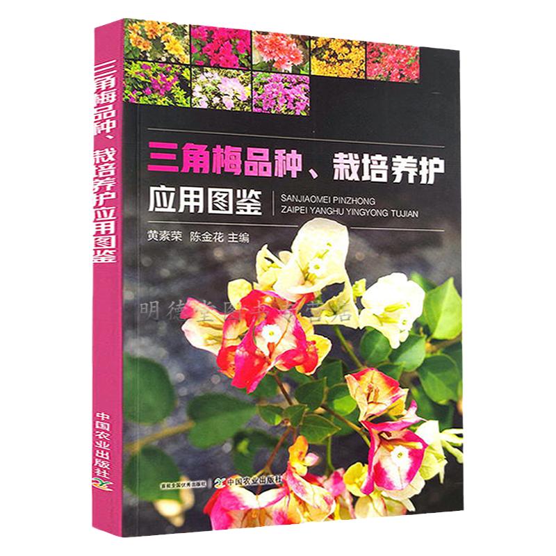 三角梅品种栽培养护应用图鉴 三角梅光叶子花和叶子花园艺养护栽培与鉴赏观花盆景观花植物栽培百科图鉴书籍