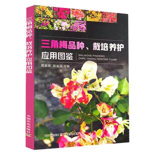 三角梅品种栽培养护应用图鉴 三角梅光叶子花和叶子花园艺养护栽培与鉴赏观花盆景观花植物栽培百科图鉴书籍