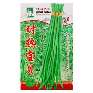 豇豆种子长豆角种籽江豆青绿白条架豆四川春夏秋季耐热田园蔬菜孑