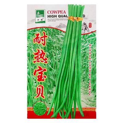 夏季耐热翠绿条豇豆种子豆角种子