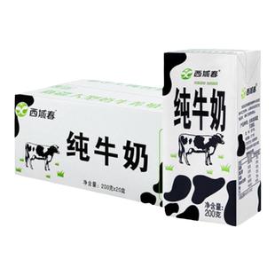 新疆牛奶西域春纯牛奶整箱206克*20盒成人学生营养早餐全脂牛奶