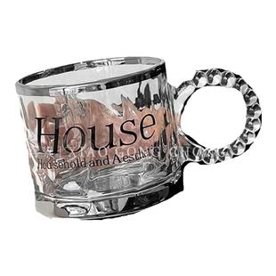 工业风太空银玻璃杯 高级感带把咖啡杯家用早餐杯马克杯饮料杯子